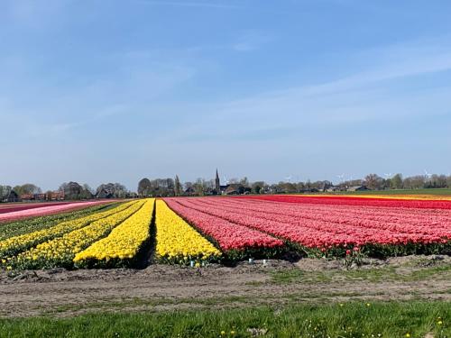 Het Twiscker Huys - image 2