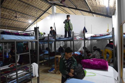 24 bunk beds