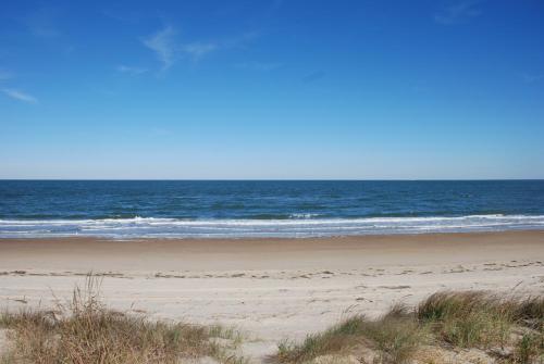 Old Time Beach Front Cottage - The Beach is your Backyard! Pet Friendly cottage in North Camellia Acres, USA