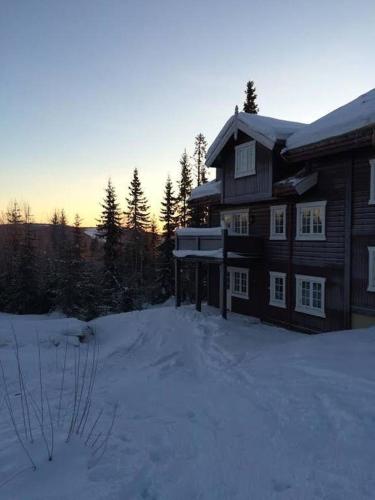 Flat in Trysil Ski in ski out and sauna