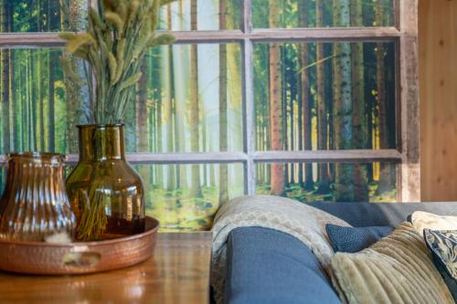  Lodge Nature &joy - Vrijstaand woonhuis in bos, met rust en vermaak in Rheezerveen