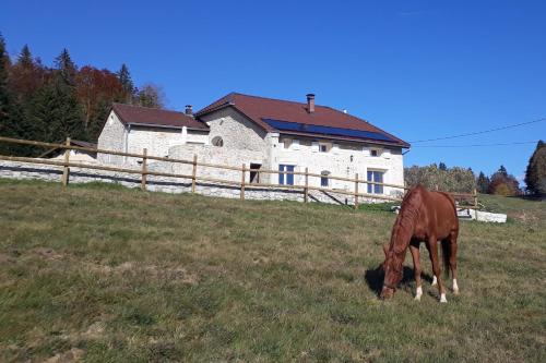 Chambres d'hôte des 3 Marches - Accommodation - Lamoura