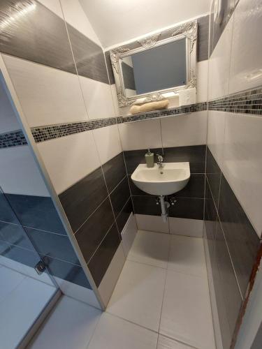 Bathroom, Palma Vendeghaz in Eszaki Varos