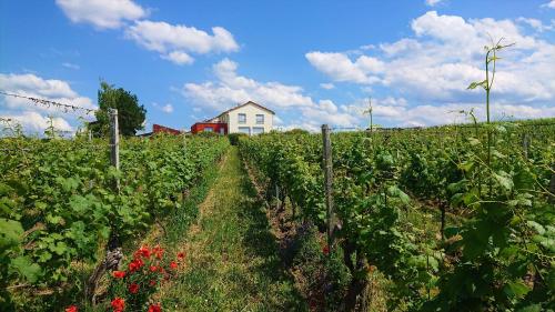 Weinbergshof Rickel in Kitzingen, Deutschland