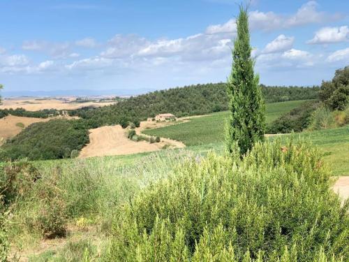 Podere Invidia: Historic Farmhouse in Tuscany gîte à louer Casabianca