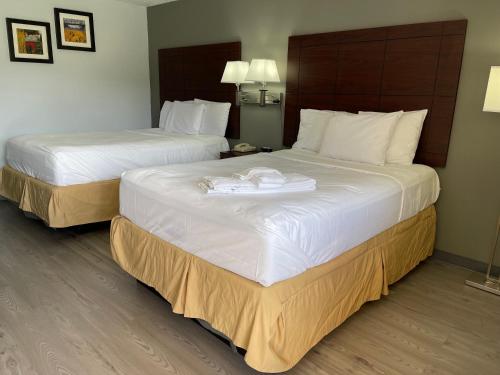 Double Room with Two Double Beds - Non-Smoking