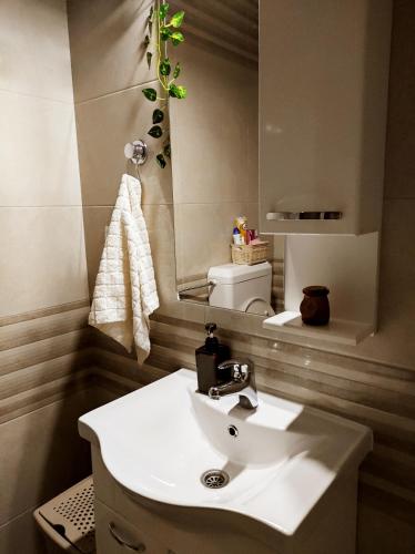 Ванна кімната, Apartman Sunshine in Добой