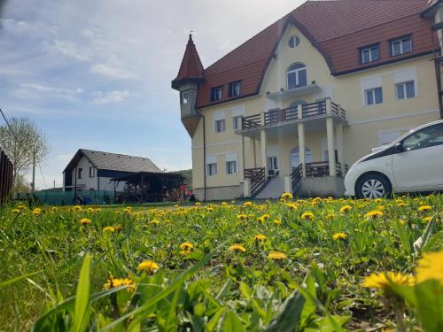 Castle Csányi