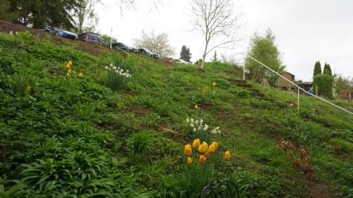 FeWo Rodenstein - Self check in & out