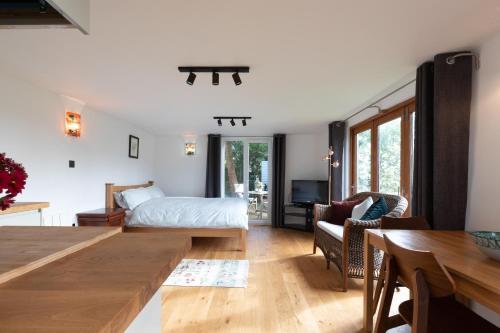 Owl and Dragon Studio - Apartment - Totnes