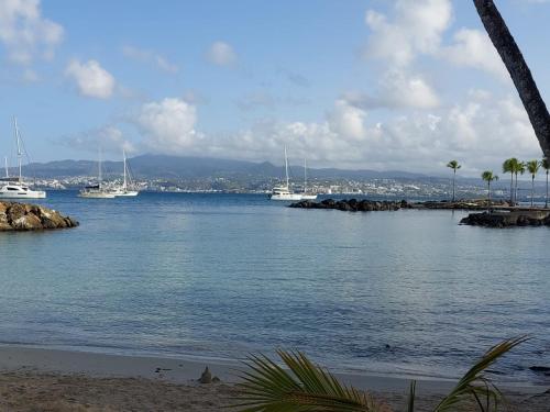 SPACIEUX T3 VUE MER SPACIEUX T3 VUE MER