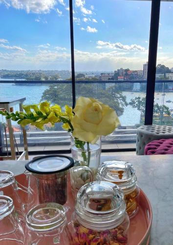 Facilities, Luxurious 2 bed apartments Lavender Bay view in North Sydney