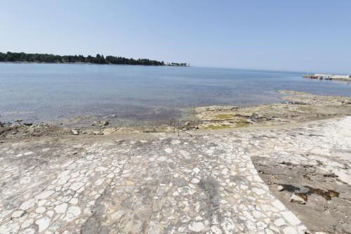 Istrian villa with unique sea view