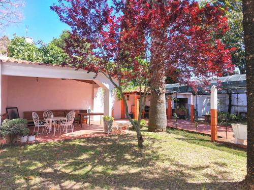 Botanique Guesthouse 4