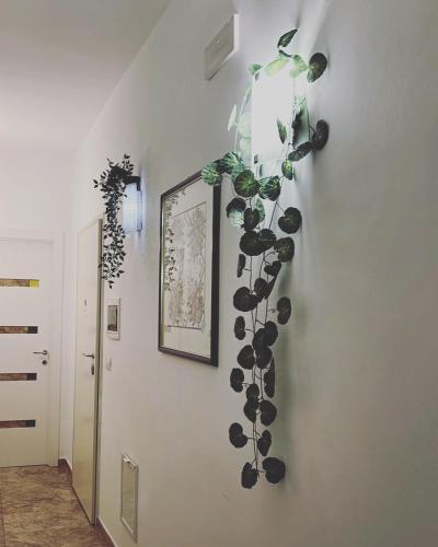 Esperanto B&B - image 6