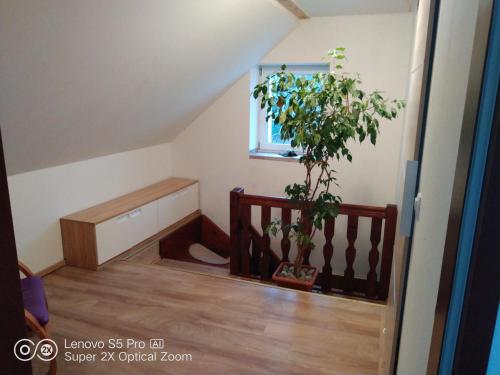 Wellness apartmán Beavital (Wellness apartman Beavital) in Dolani