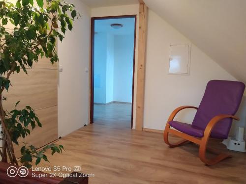 Wellness apartmán Beavital (Wellness apartman Beavital) in Dolani