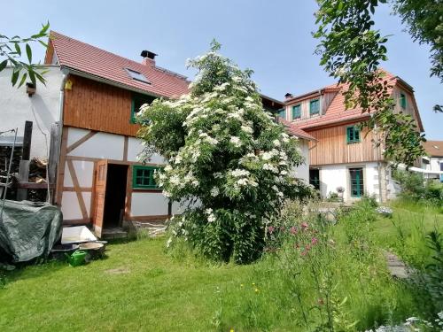Ferienwohnung Villa Claudia, Drážďany (fotografie 8)