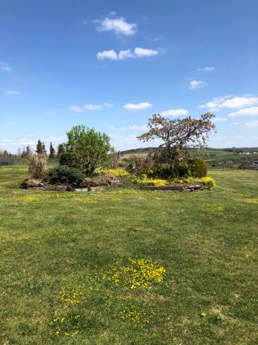 Jardín, Apartment " PENSCH " in Findel