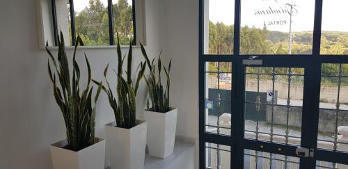  Fisterra -Sardiñeiro in Fisterra