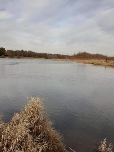 Zielony Domek agroturystyka