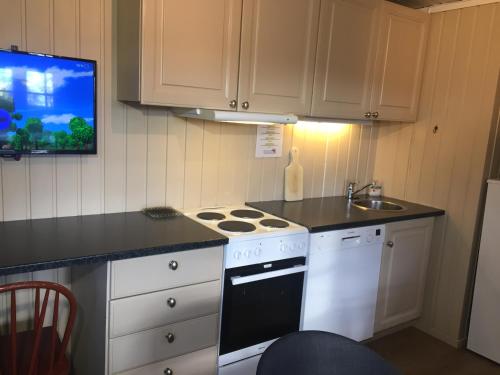 Beitostølen Hytter in Beitostolen