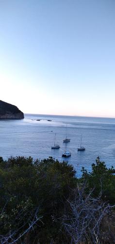 Capraia per te in Capraia