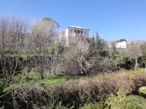 Grand appartement avec terrasse - Location saisonnière - Bastia
