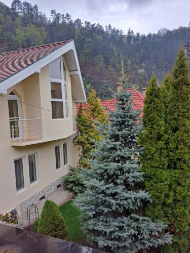 Accommodation in Sibiu