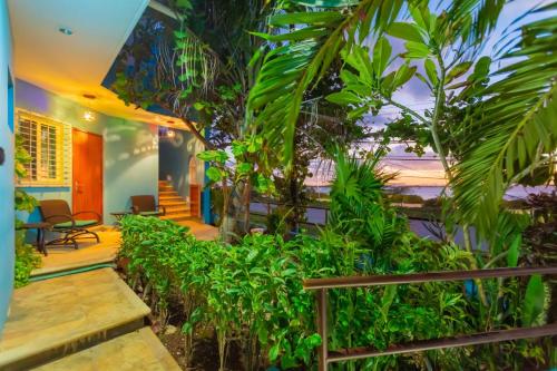 Casa Cielo Studio 1 with Tropical Garden Patio