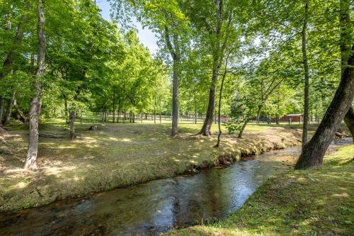 Pet Friendly Cobb Creek Cabins