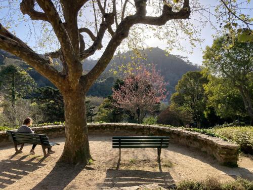 Sintra Sweet Apartment II - Free Parking in Santa Maria e Sao Miguel