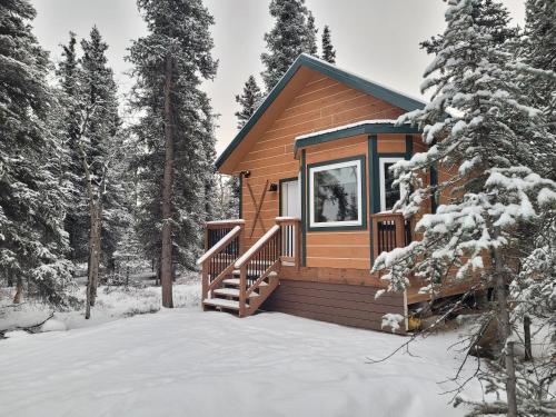 Denali Wild Stay - Muskrat cabin, private, free wifi, free parking, sleep 4