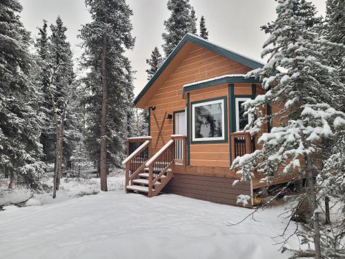 Denali Wild Stay - Muskrat cabin, private, free wifi, free parking, sleep 4 thumb 2