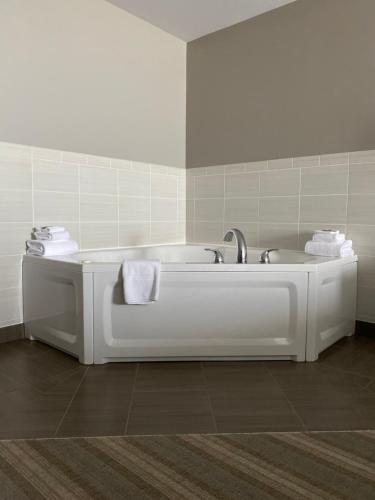 浴室, 伯米吉麗怡酒店 (Country Inn & Suites by Radisson, Bemidji, MN) in 伯米吉 (MN)