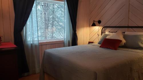Denali Wild Stay - Muskrat cabin, private, free wifi, free parking, sleep 4