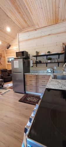 Denali Wild Stay - Muskrat cabin, private, free wifi, free parking, sleep 4 thumb 4