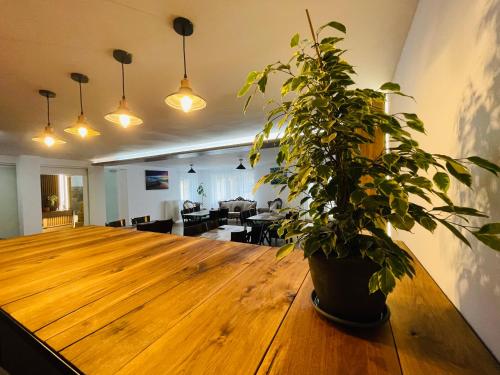 Valea Putnei Residence- Rooms for rent in Valea Putnei