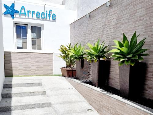 Apartamentos El Arrecife - image 8