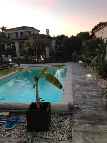 Villa avec piscine, pool house et cuisine d'été. Idéal famille. gîte à louer Fons