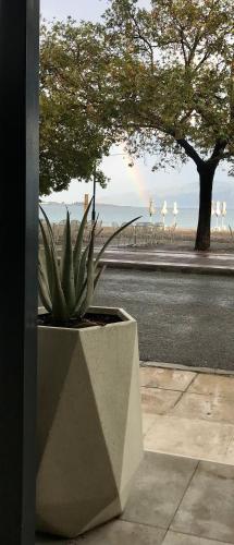 Plaza Hotel - image 14