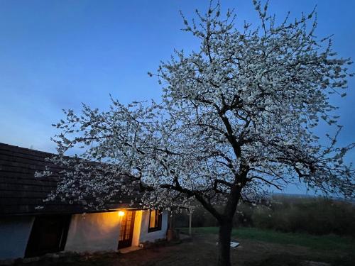 Rusztika Country Home