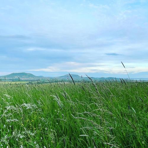 Rusztika Country Home