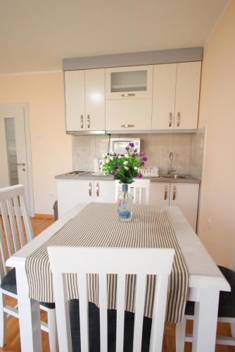 Létesítmények, Vila Vrnjački Raj (Vila Vrnjacki Raj) in Ruđinci