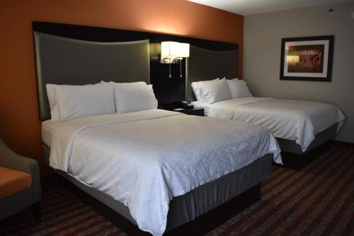 Holiday Inn Express & Suites Nashville Southeast - Antioch, an IHG Hotel