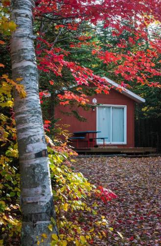 New Glasgow Highlands Campground cabins