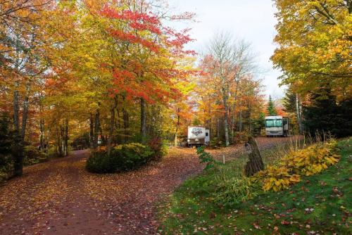 New Glasgow Highlands Campground cabins