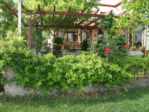 Evridiki - image 13