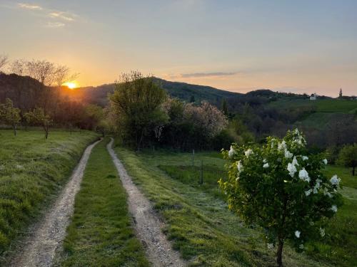 Rusztika Country Home