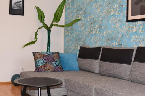 Apartament Galeria Warmińska